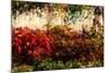 Color of Fall I-Alan Hausenflock-Mounted Photographic Print