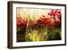 Color of Fall II-Alan Hausenflock-Framed Photographic Print