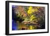 Color of Fall IV-Alan Hausenflock-Framed Photographic Print