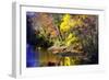 Color of Fall IV-Alan Hausenflock-Framed Photographic Print