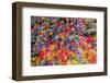 Color palette-Marco Carmassi-Framed Photographic Print