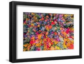 Color palette-Marco Carmassi-Framed Photographic Print