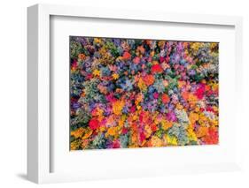 Color palette-Marco Carmassi-Framed Photographic Print