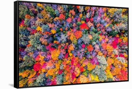 Color palette-Marco Carmassi-Framed Stretched Canvas