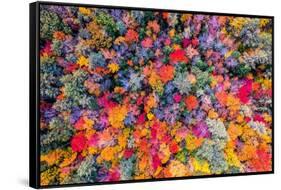 Color palette-Marco Carmassi-Framed Stretched Canvas