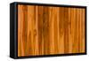 Color Pattern of Teak Wood-wuttichok-Framed Stretched Canvas