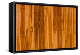 Color Pattern of Teak Wood-wuttichok-Framed Stretched Canvas