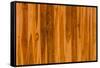 Color Pattern of Teak Wood-wuttichok-Framed Stretched Canvas