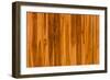 Color Pattern of Teak Wood-wuttichok-Framed Photographic Print