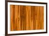 Color Pattern of Teak Wood-wuttichok-Framed Photographic Print