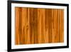 Color Pattern of Teak Wood-wuttichok-Framed Photographic Print