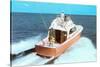 Color Photo of Speedboat-null-Stretched Canvas