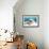 Color Photo of Speedboat-null-Framed Art Print displayed on a wall