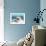 Color Photo of Speedboat-null-Framed Art Print displayed on a wall