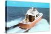 Color Photo of Speedboat-null-Stretched Canvas