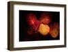 Color Play-Philippe Sainte-Laudy-Framed Photographic Print