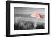 Color Pop, Beach umbrella on the beach, Saunton, North Devon, England, Living Coral-null-Framed Photographic Print