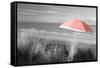 Color Pop, Beach umbrella on the beach, Saunton, North Devon, England, Living Coral-null-Framed Stretched Canvas