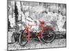 Color Pop, Bike against wall, Beijing, China, Living Coral-null-Mounted Photographic Print