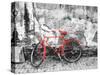 Color Pop, Bike against wall, Beijing, China, Living Coral-null-Stretched Canvas