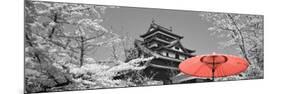 Color Pop, Cherry Blossom Matsue Castle Japan, Living Coral-null-Mounted Photographic Print