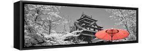 Color Pop, Cherry Blossom Matsue Castle Japan, Living Coral-null-Framed Stretched Canvas