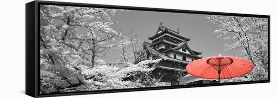 Color Pop, Cherry Blossom Matsue Castle Japan, Living Coral-null-Framed Stretched Canvas