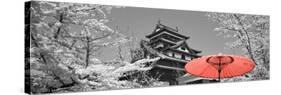 Color Pop, Cherry Blossom Matsue Castle Japan, Living Coral-null-Stretched Canvas