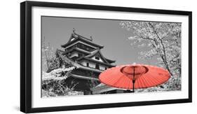 Color Pop, Cherry Blossom Matsue Castle Japan, Living Coral-null-Framed Photographic Print