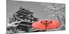 Color Pop, Cherry Blossom Matsue Castle Japan, Living Coral-null-Mounted Photographic Print