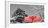 Color Pop, Cherry Blossom Matsue Castle Japan, Living Coral-null-Framed Premium Photographic Print
