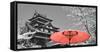 Color Pop, Cherry Blossom Matsue Castle Japan, Living Coral-null-Framed Stretched Canvas