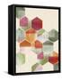 Color Pop Honeycomb I-Grace Popp-Framed Stretched Canvas