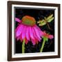 Color Pop I-Tina Lavoie-Framed Giclee Print