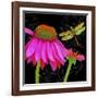 Color Pop I-Tina Lavoie-Framed Giclee Print