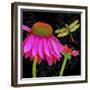 Color Pop I-Tina Lavoie-Framed Giclee Print