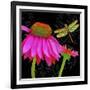 Color Pop I-Tina Lavoie-Framed Giclee Print