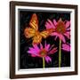 Color Pop II-Tina Lavoie-Framed Giclee Print