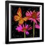 Color Pop II-Tina Lavoie-Framed Giclee Print