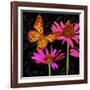 Color Pop II-Tina Lavoie-Framed Giclee Print