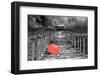 Color Pop, Kibune Shrine Kyoto Japan, Living Coral-null-Framed Photographic Print