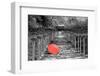 Color Pop, Kibune Shrine Kyoto Japan, Living Coral-null-Framed Photographic Print