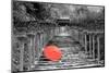 Color Pop, Kibune Shrine Kyoto Japan, Living Coral-null-Mounted Photographic Print