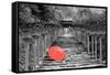 Color Pop, Kibune Shrine Kyoto Japan, Living Coral-null-Framed Stretched Canvas