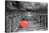 Color Pop, Kibune Shrine Kyoto Japan, Living Coral-null-Stretched Canvas