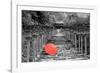 Color Pop, Kibune Shrine Kyoto Japan, Living Coral-null-Framed Photographic Print