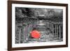 Color Pop, Kibune Shrine Kyoto Japan, Living Coral-null-Framed Photographic Print