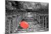 Color Pop, Kibune Shrine Kyoto Japan, Living Coral-null-Mounted Photographic Print