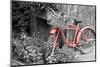 Color Pop, Old bicycle with flower basket next to old outhouse garden shed, Marion County, IL-null-Mounted Photographic Print