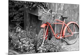 Color Pop, Old bicycle with flower basket next to old outhouse garden shed, Marion County, IL-null-Mounted Photographic Print